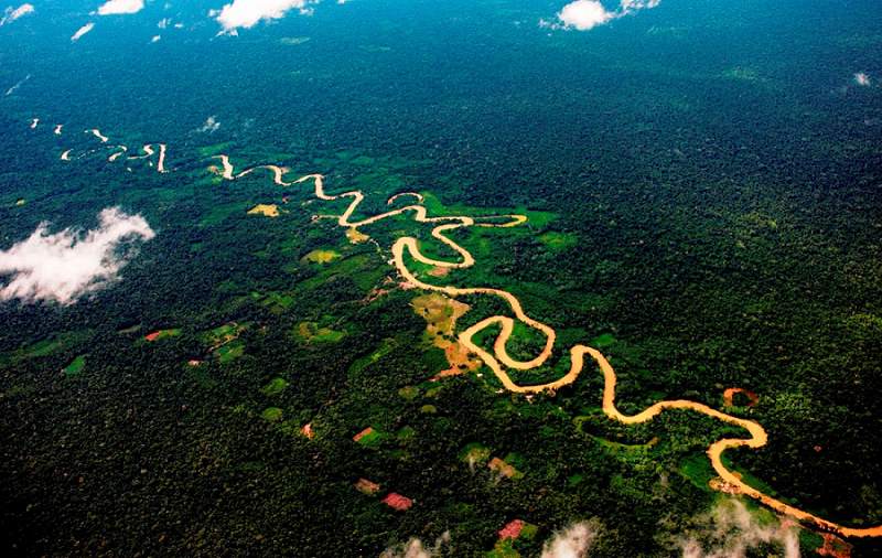 meander of the amazon